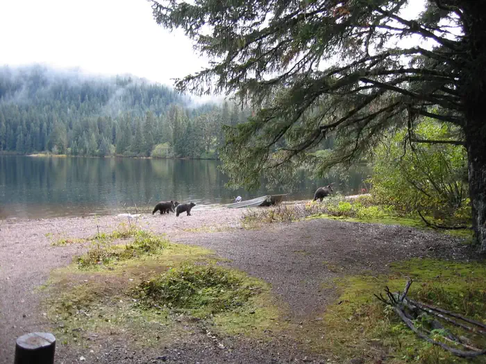 Kook Lake Cabin β Kook Lake Cabin8