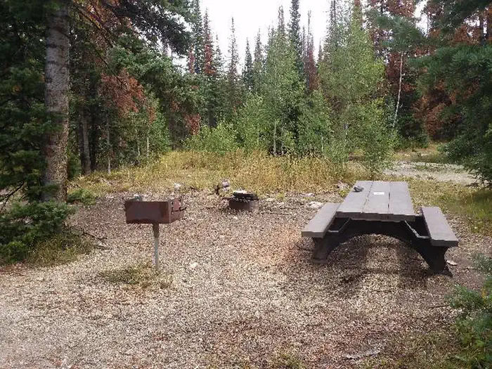 Ryan Park — Ryan Park Campground Hero Image 3