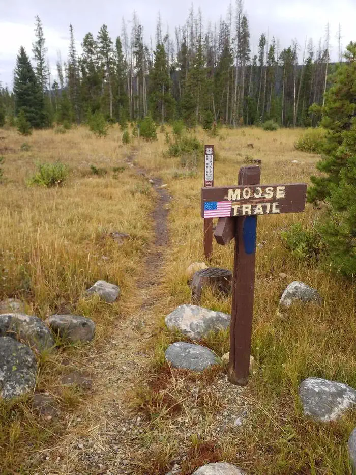 Ryan Park — Ryan Park Moose Trail 1