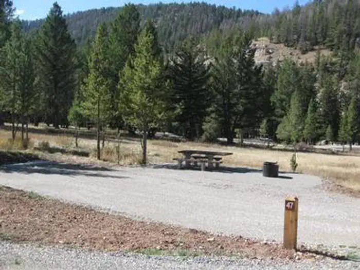 Red Cliff Campground — Campsite surrounded by pine trees, picnic table & fire ring