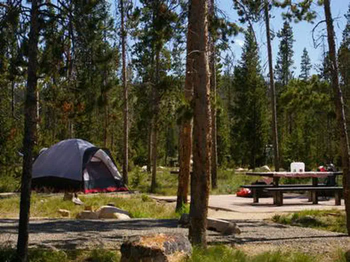 Sunny Gulch Campground — SUNNY GULCH CAMPGROUND