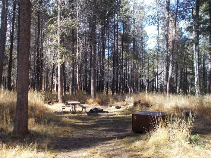 Bridalveil Creek Campground β Campsite at Bridalveil Creek Campground