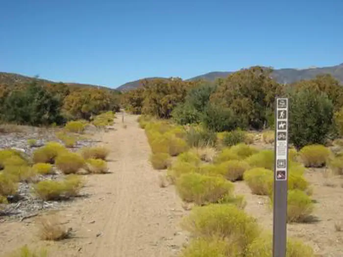 Ribbonwood Equestrian Campground — Ribbonwood Equestrian Campground Horse Trail