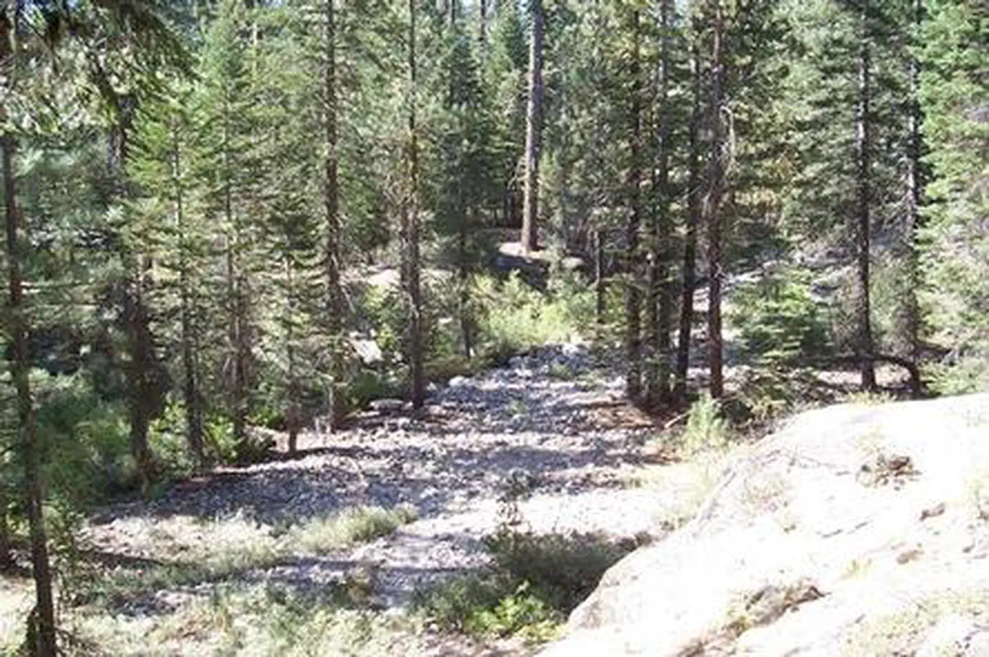 Upper Stony Creek Campground — UPPER STONY CREEK CAMPGROUND