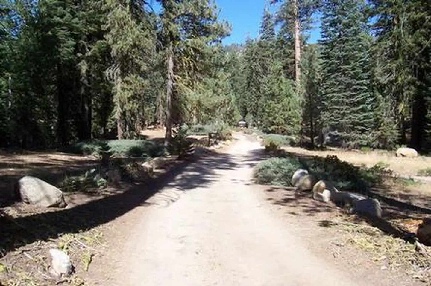Upper Stony Creek Campground — UPPER STONY CREEK CAMPGROUND