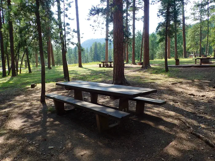 Pactola Reservoir Campground — PACTOLA CAMPGROUND
