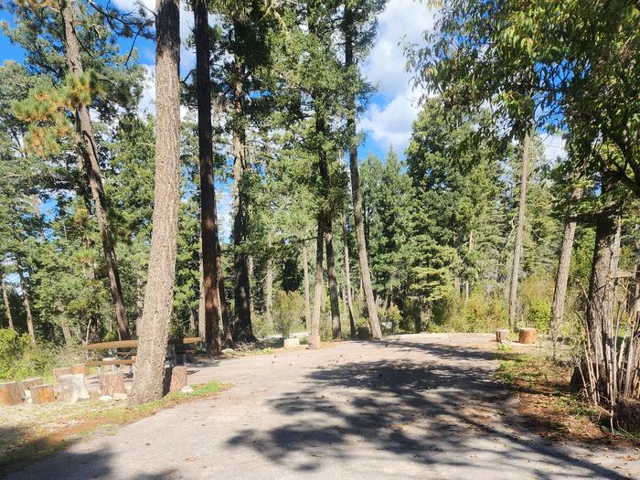 Saddle Campground — Host site at Saddle CG