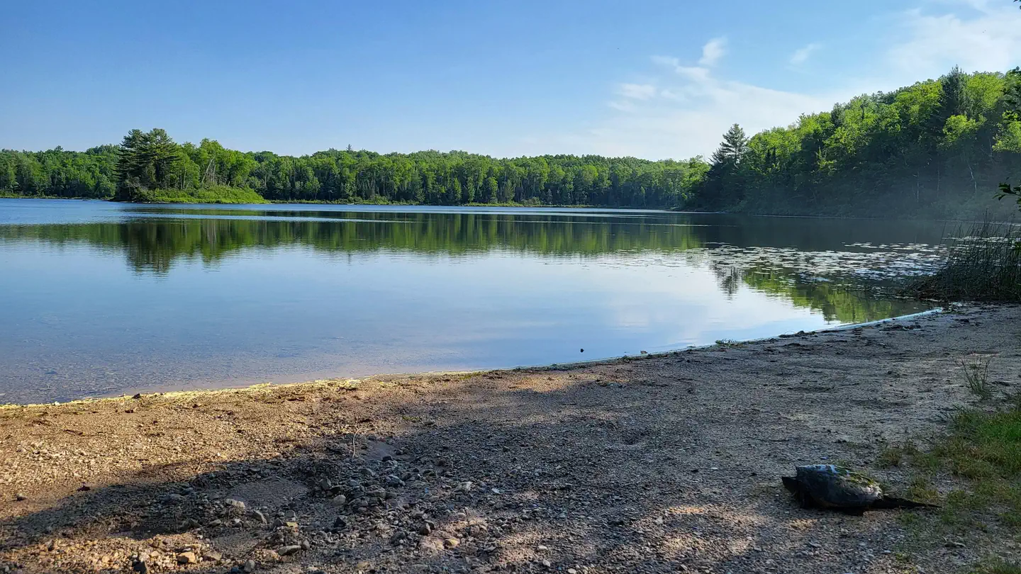 Cookson Lake Campsite