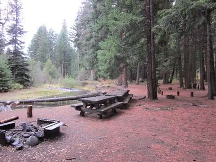 Indian Flat Group Site — Fire ring and picnic tables on flat needle covered ground in pine forest