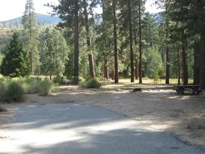 Barton Flats Campground — Barton Flats Campground Picnic Tables in the shade