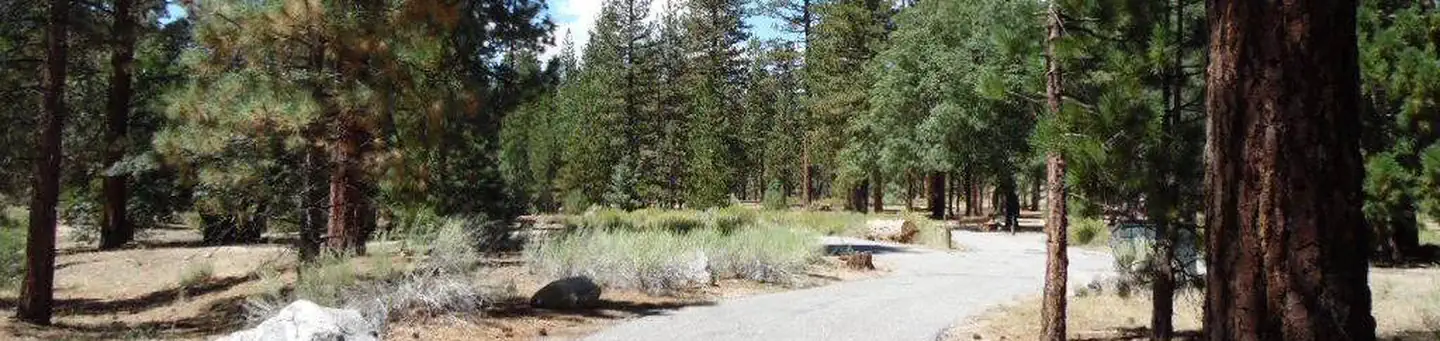 Barton Flats Campground