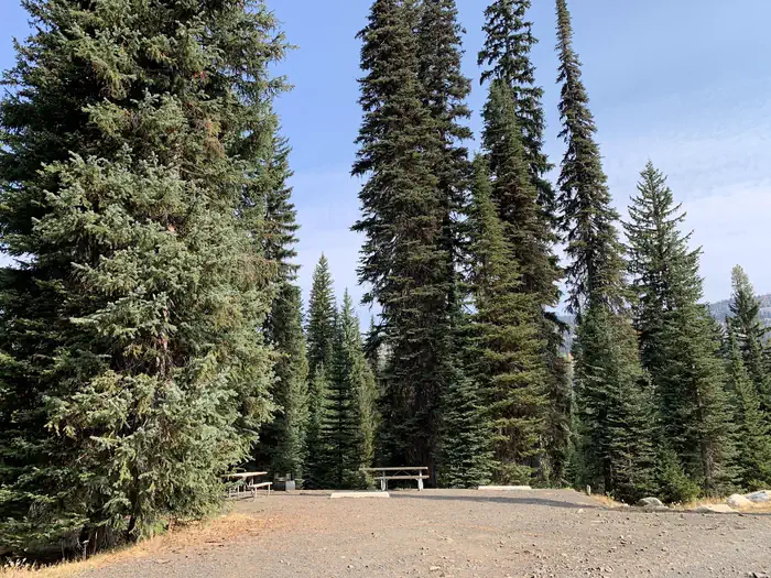 Grouse Campground — Tall conifer trees surround graveled parking area, with picnic table and fire ring in the background.