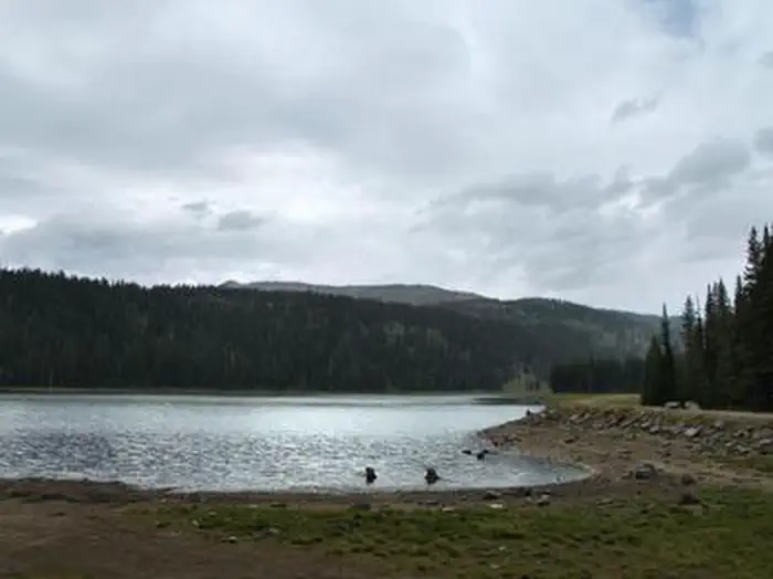 Grouse Campground — Goose Lake adjacent to Grouse Campground