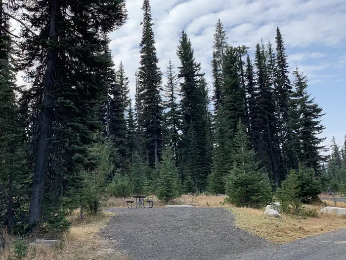 Grouse Campground — Single site with graveled parking, and picnic table surrounded by tall conifer trees.