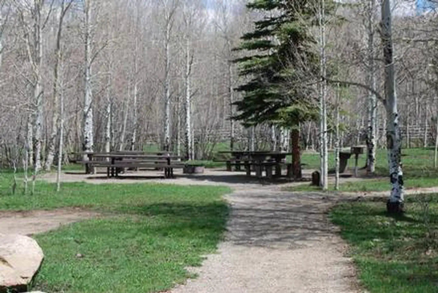 Transfer Campground — TRANSFER GROUP CAMPGROUND