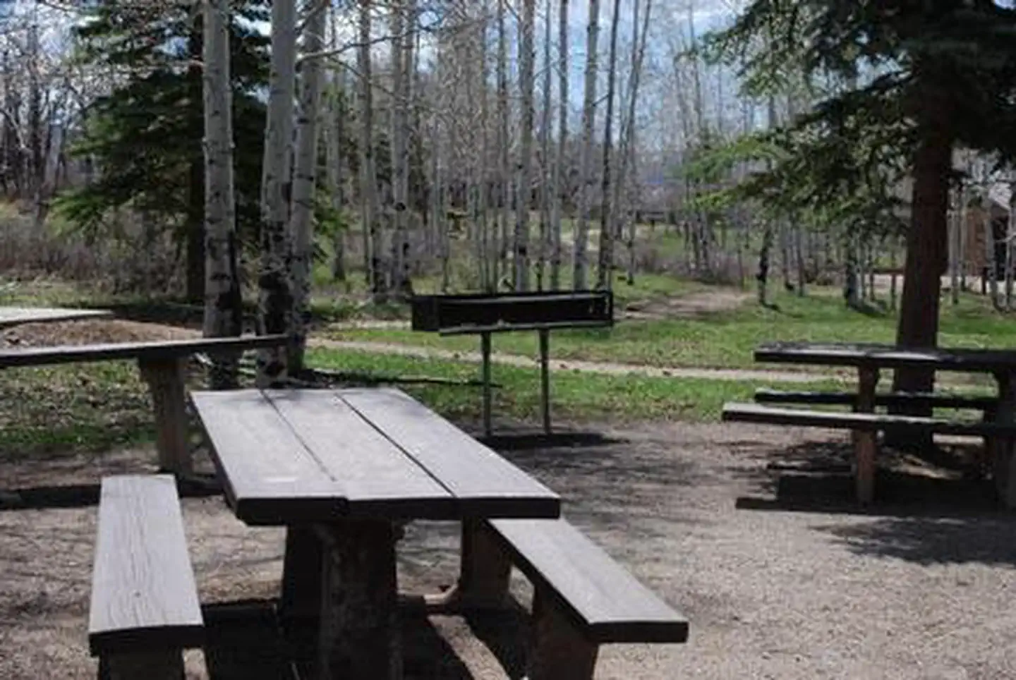 Transfer Campground — TRANSFER GROUP CAMPGROUND