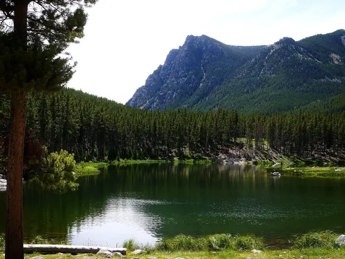 Greenough Lake — gl_cg_preview
