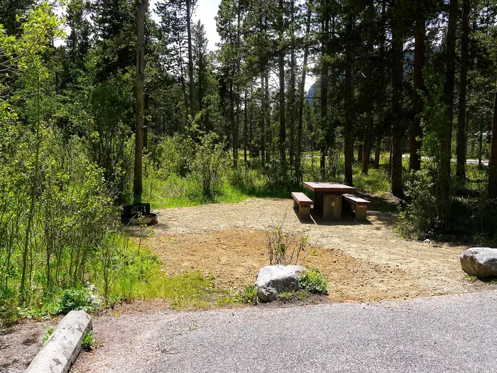 Greenough Lake — Greenough Lake Campsite 2
