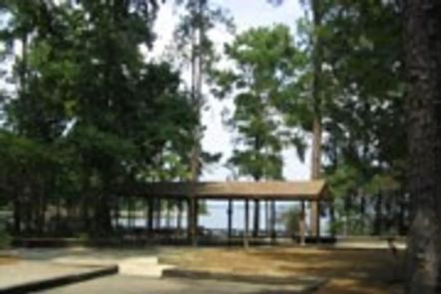 Lake Springs — LAKE SPRINGS
