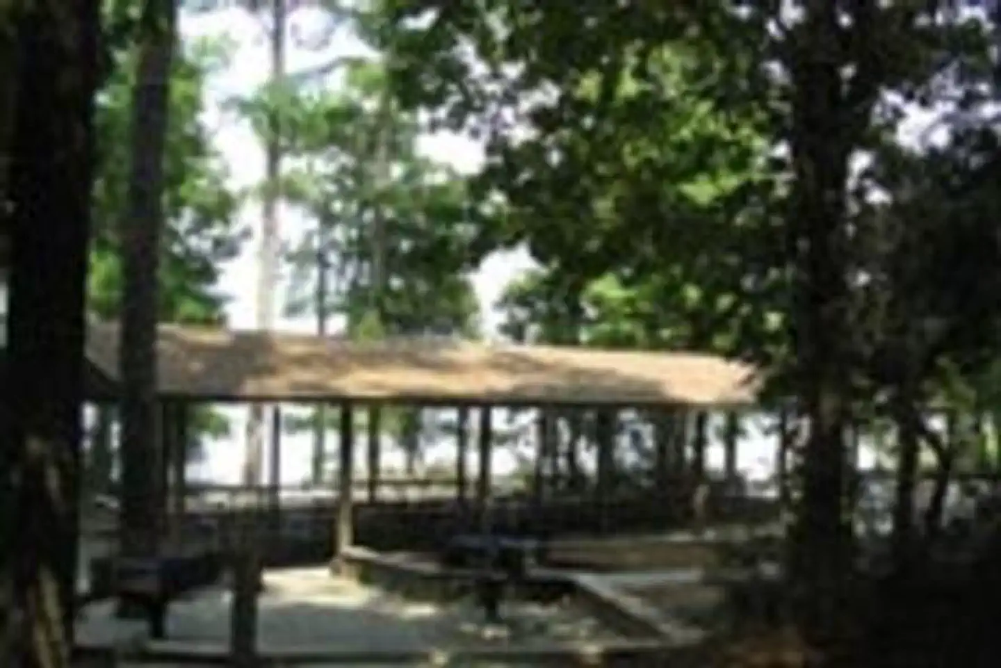 Lake Springs — LAKE SPRINGS
