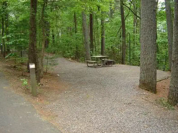 Horseshoe Point — Campsite with picnic table and lantern post.