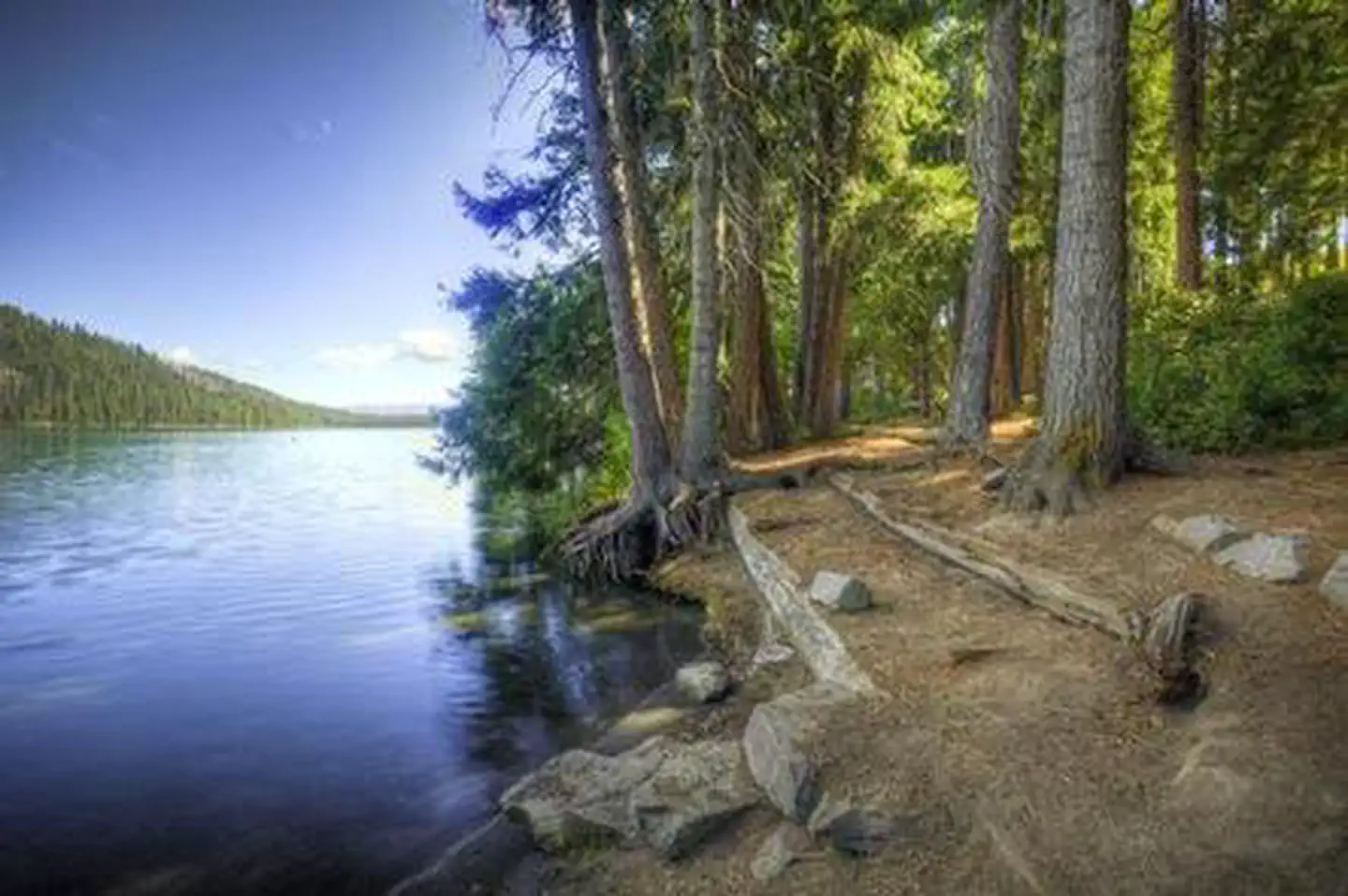 Link Creek — LINK CREEK