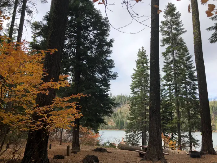 Link Creek — Link Creek Campground in Fall
