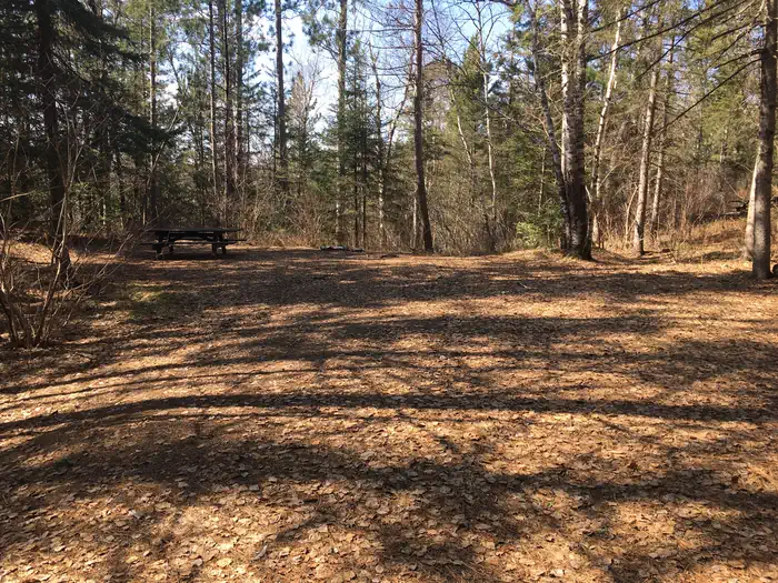 Mcdougal Lake Campground — Campsite in the spring