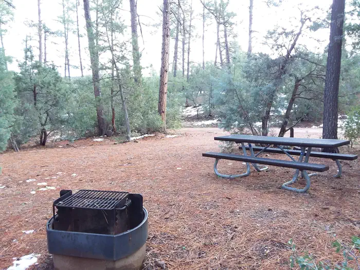 Timber Camp Recreation Area and Group Campgrounds — Timber Camp Rec. Area And Group CG: Campsite