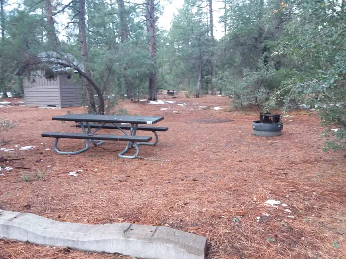 Timber Camp Recreation Area and Group Campgrounds — Timber Camp Rec. Area And Group CG: Campsite Near Restrooms