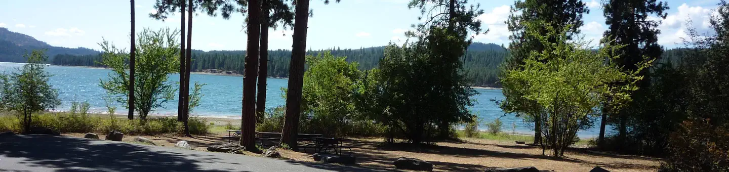 Gifford Group Site