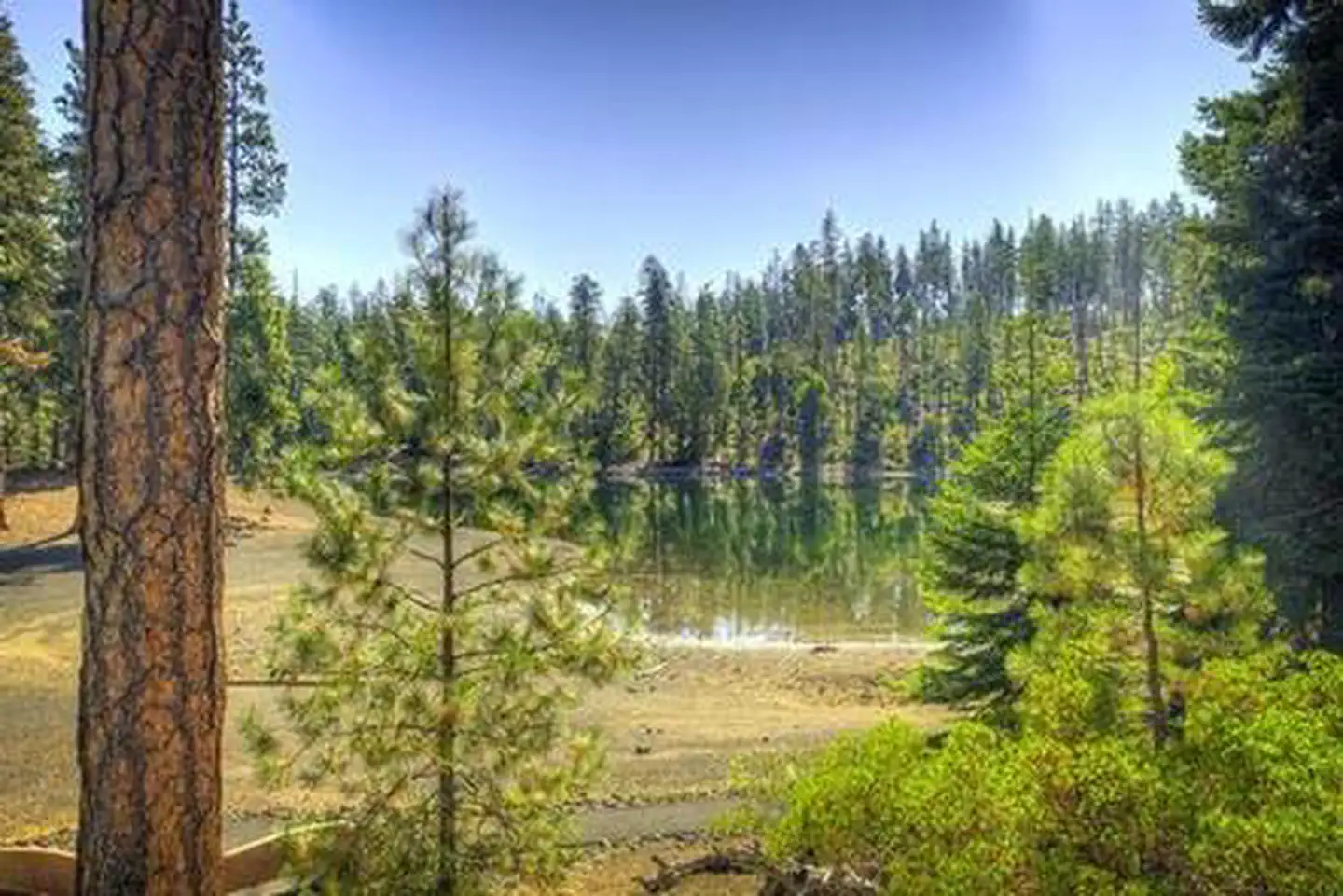 Scout Lake — Scout Lake