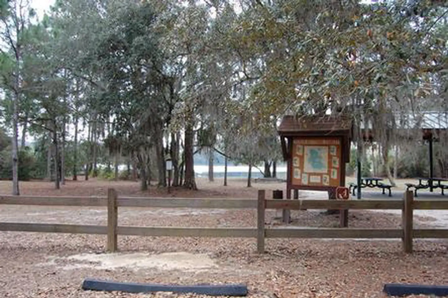 Lake Shore Group Camp β LAKE SHORE GROUP CAMP