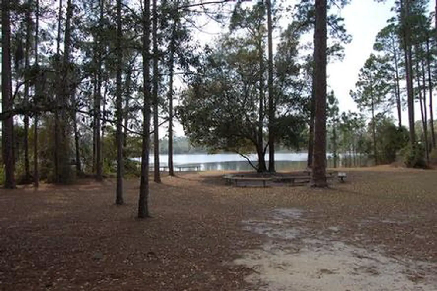 Lake Shore Group Camp β LAKE SHORE GROUP CAMP