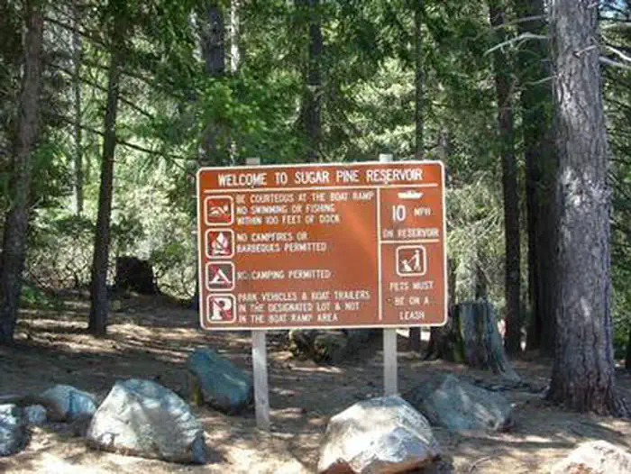 Forbes Creek β FORBES CREEK
