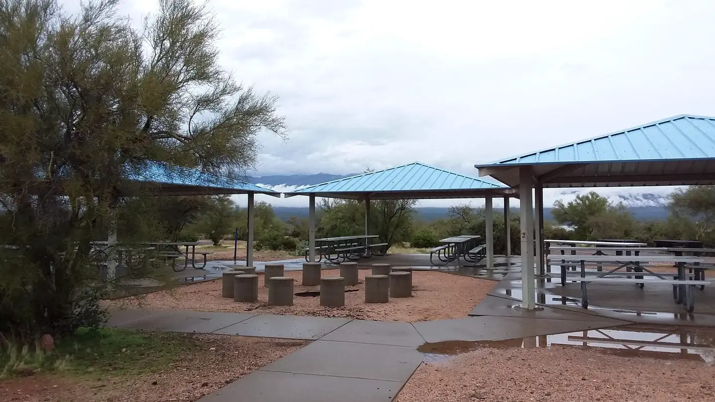 Roosevelt Lake - Grapevine Group