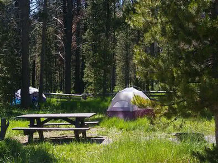 Trap Creek Campground — TRAP CREEK CAMPGROUND