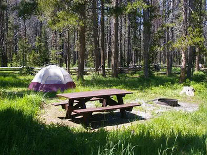 Trap Creek Campground — TRAP CREEK CAMPGROUND