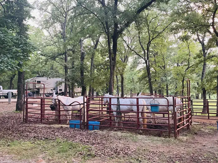 Platter Flats — A photo of facility PLATTER FLATS with Shade
