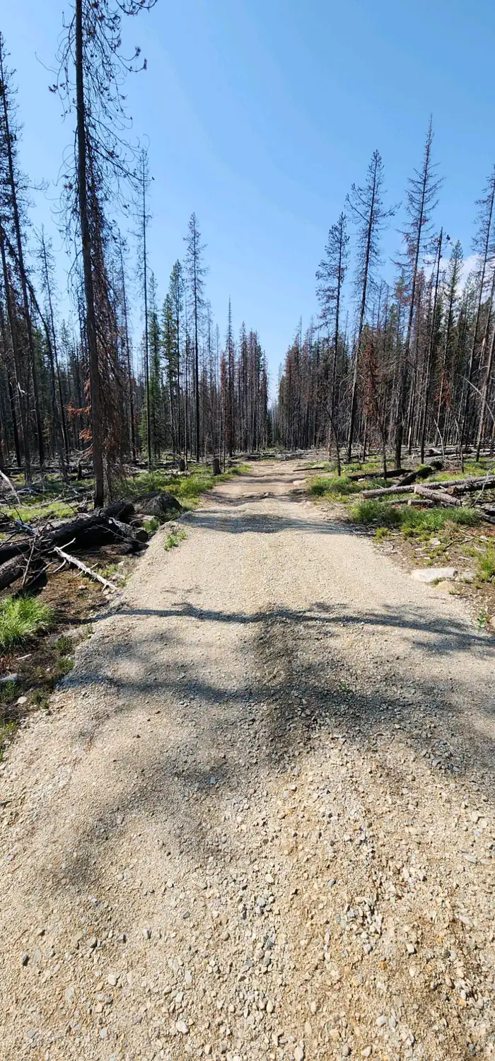 Horse Heaven Cabin — Rough road into cabin