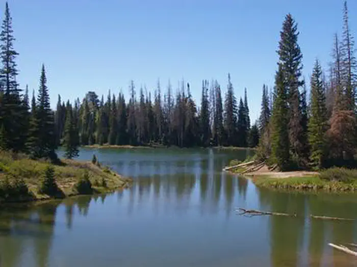 Potters Pond — Potters Pond