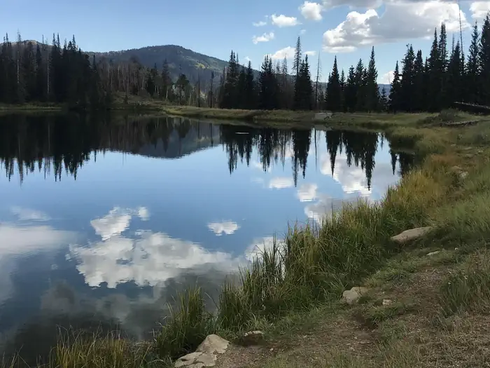 Potters Pond — Potters Pond