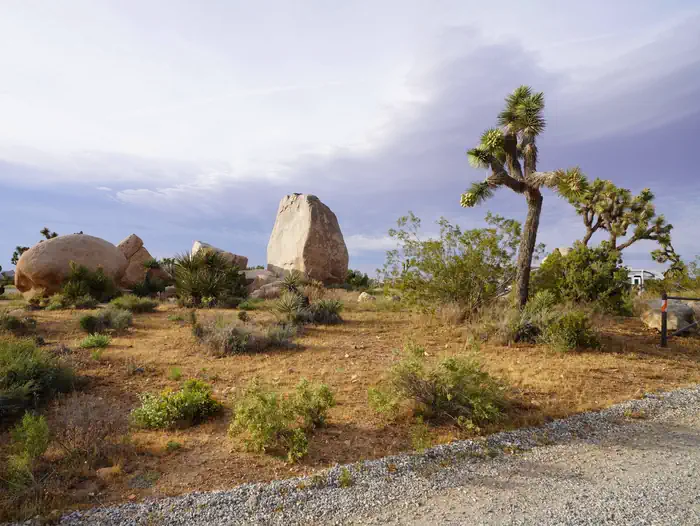 Ryan Campground — Ryan Campground