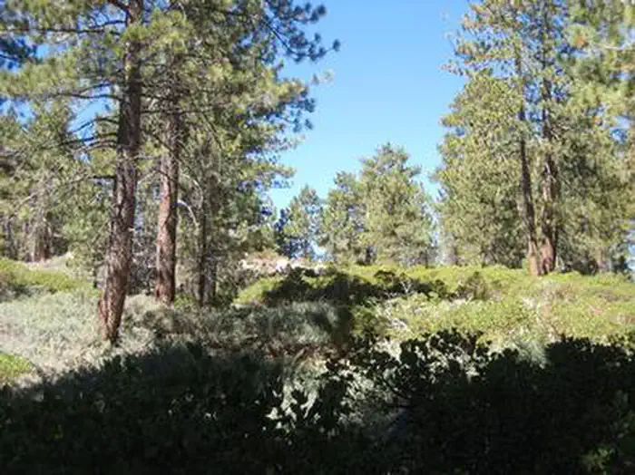 Deer Group Campground — Boulder Group Campground view