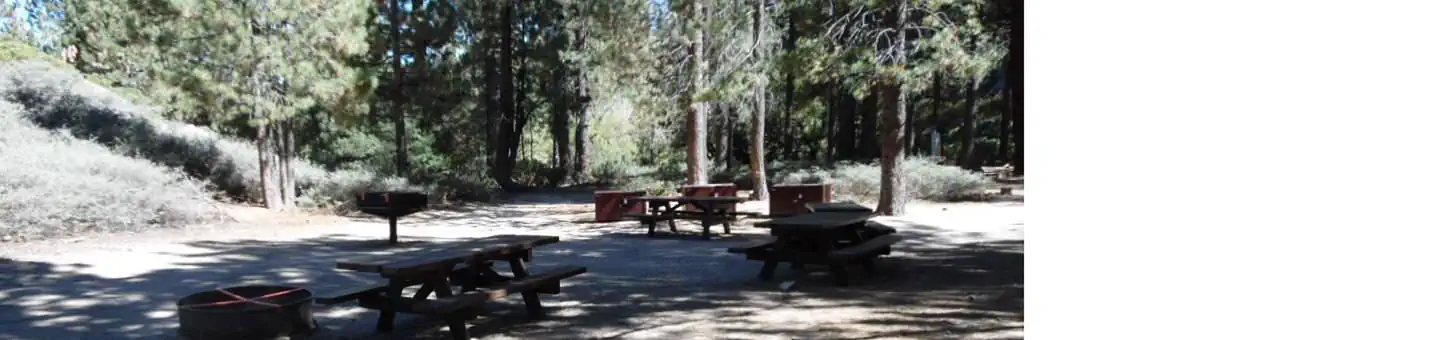 Deer Group Campground