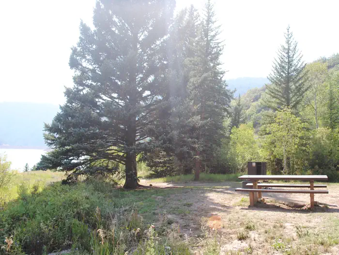 Little Mattie Campground — Little Mattie Site 1 View