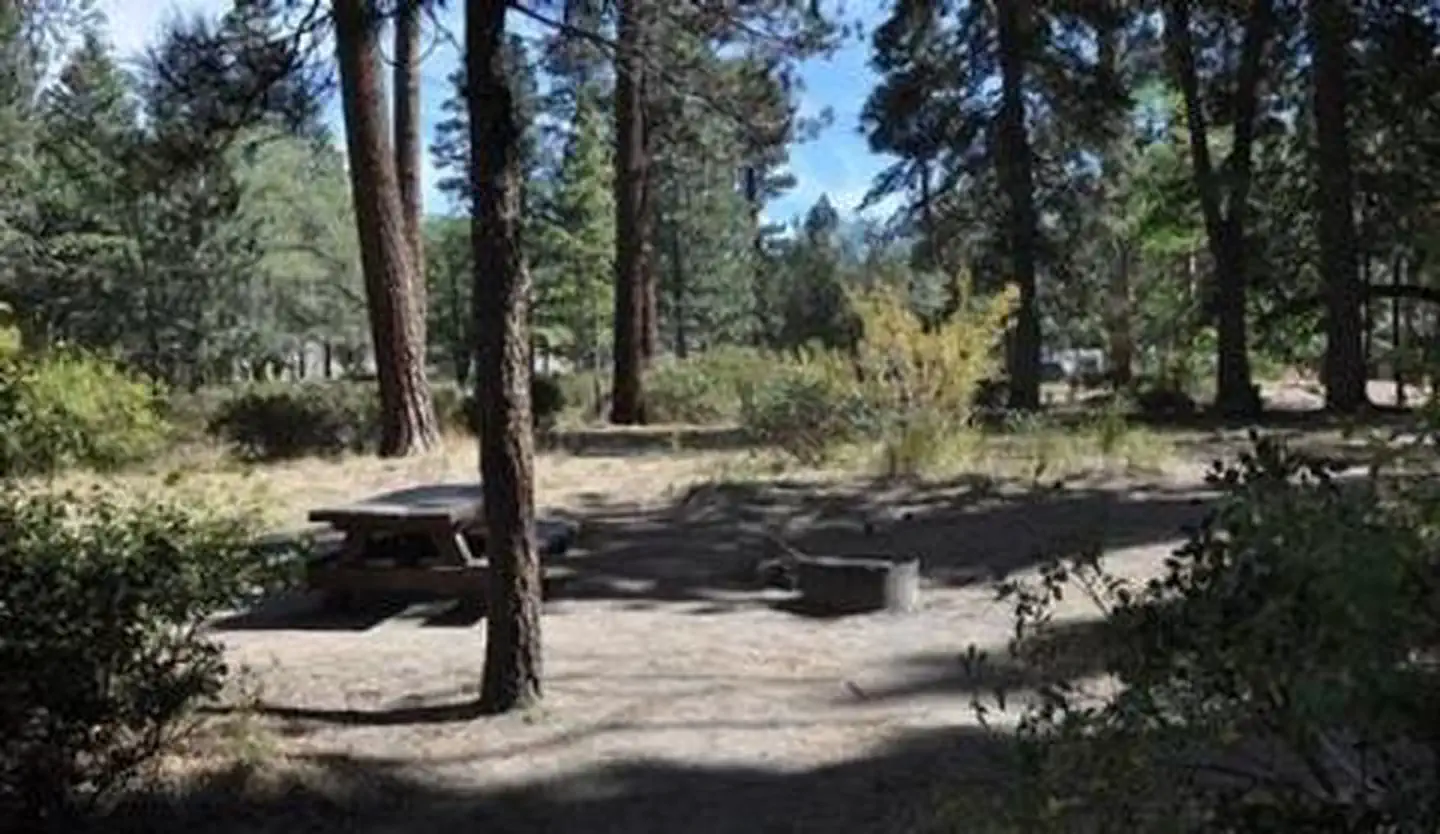 Hanna Flat Campground — Picnic Table & Fire Pit at Hanna Flat Campground