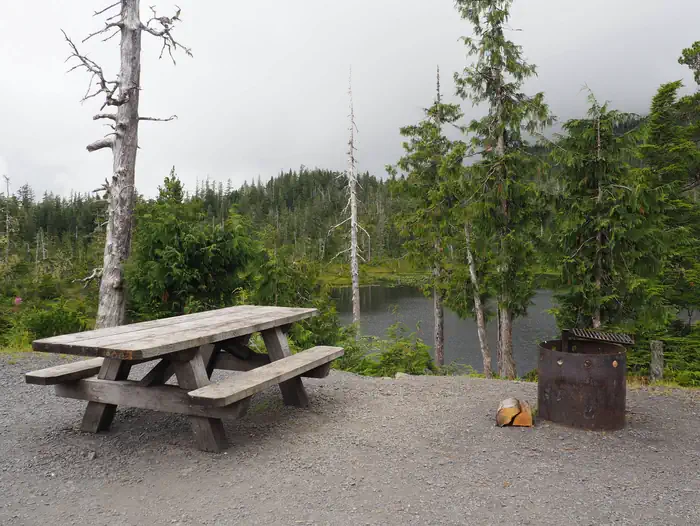 Middle Ridge Cabin — Picnic table with lake and forest in background
