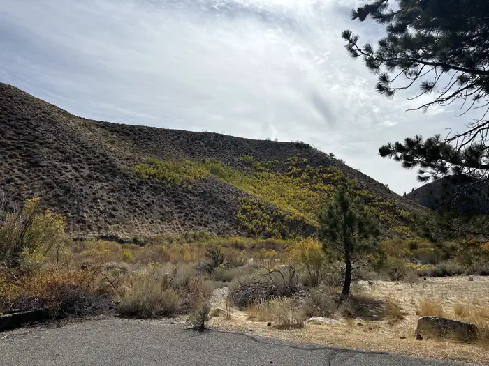 Chris Flat Campground — A photo of facility Chris Flat with No Amenities Shown