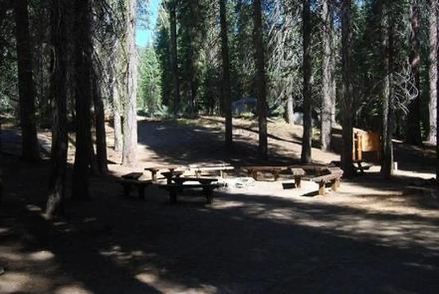 Cove Group Campground — COVE GROUP